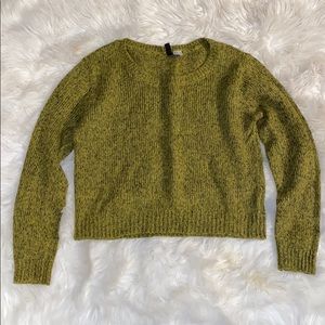 Divided wool blend cropped sweater